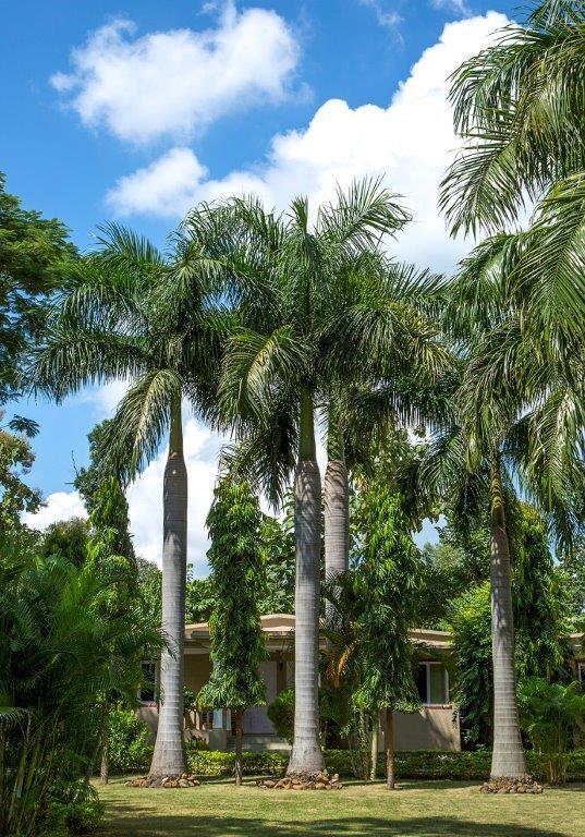 Tiger'S Den Resort Bandhavgarh National Park Exterior photo