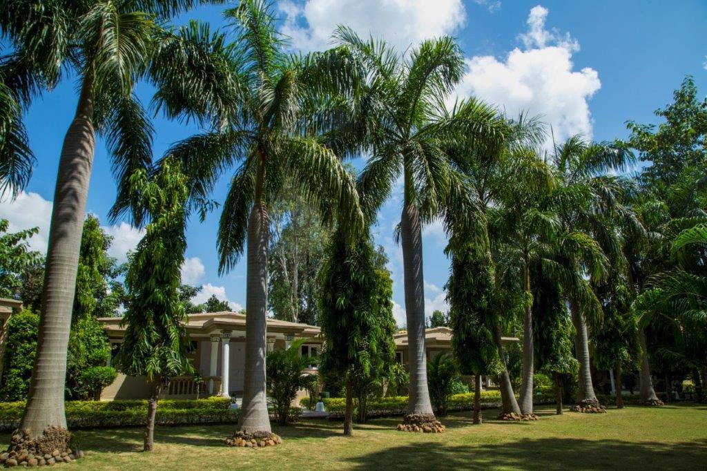 Tiger'S Den Resort Bandhavgarh National Park Exterior photo