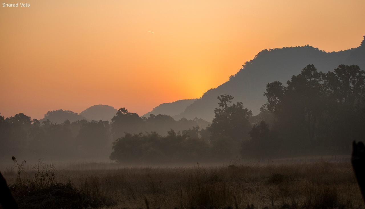 Tiger'S Den Resort Bandhavgarh National Park Exterior photo